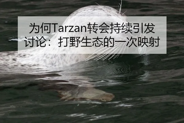 为何Tarzan转会持续引发讨论：打野生态的一次映射
